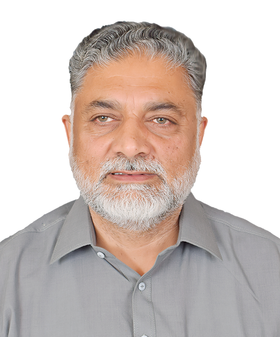 Hassan Raza